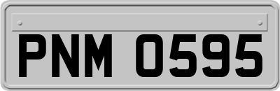 PNM0595