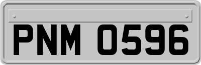 PNM0596