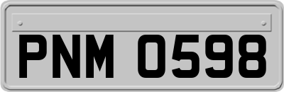 PNM0598