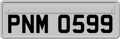 PNM0599