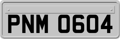 PNM0604