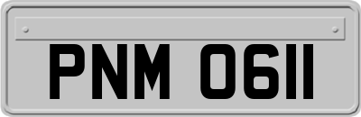 PNM0611