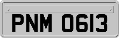 PNM0613