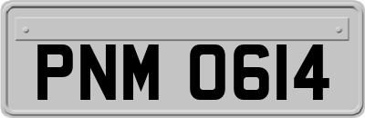 PNM0614