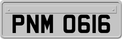 PNM0616