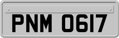 PNM0617