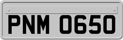 PNM0650