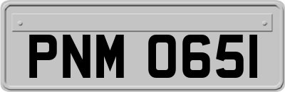 PNM0651