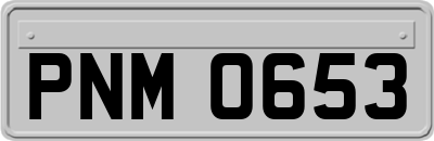 PNM0653