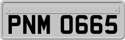 PNM0665
