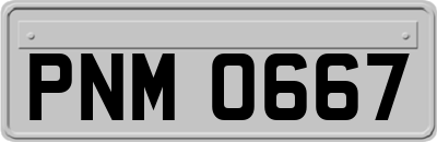 PNM0667