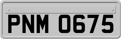 PNM0675