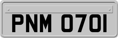 PNM0701