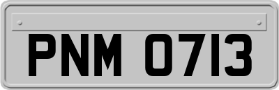 PNM0713