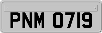 PNM0719