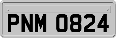 PNM0824