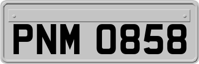 PNM0858