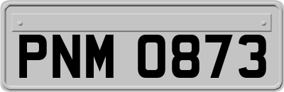PNM0873