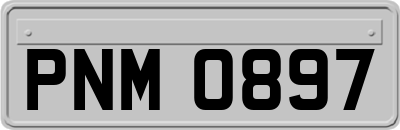 PNM0897