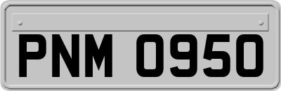 PNM0950