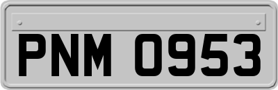 PNM0953