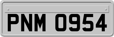 PNM0954