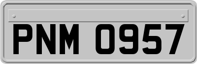PNM0957