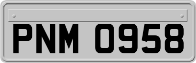 PNM0958