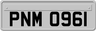 PNM0961