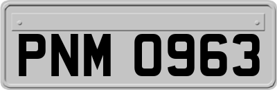PNM0963