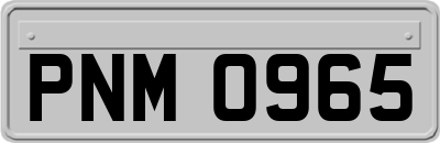 PNM0965