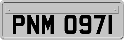 PNM0971