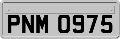 PNM0975