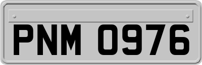 PNM0976