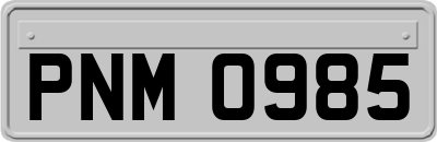 PNM0985