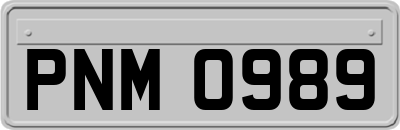 PNM0989