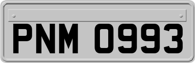 PNM0993