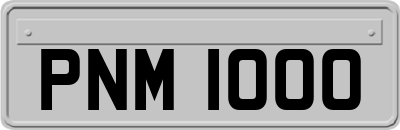 PNM1000