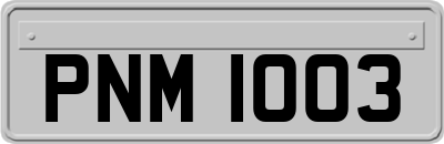 PNM1003