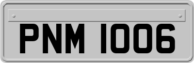 PNM1006