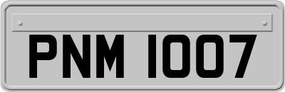 PNM1007
