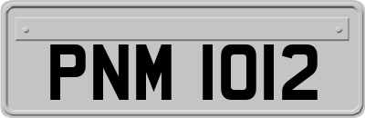 PNM1012