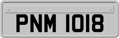 PNM1018