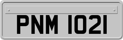 PNM1021
