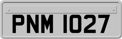 PNM1027