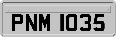 PNM1035