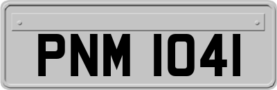 PNM1041