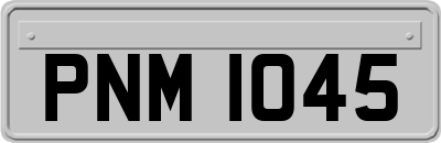 PNM1045