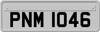 PNM1046