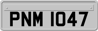 PNM1047